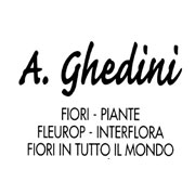 ghedini